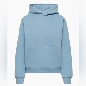 Aritzia Cozy Fleece Perfect Hoodie